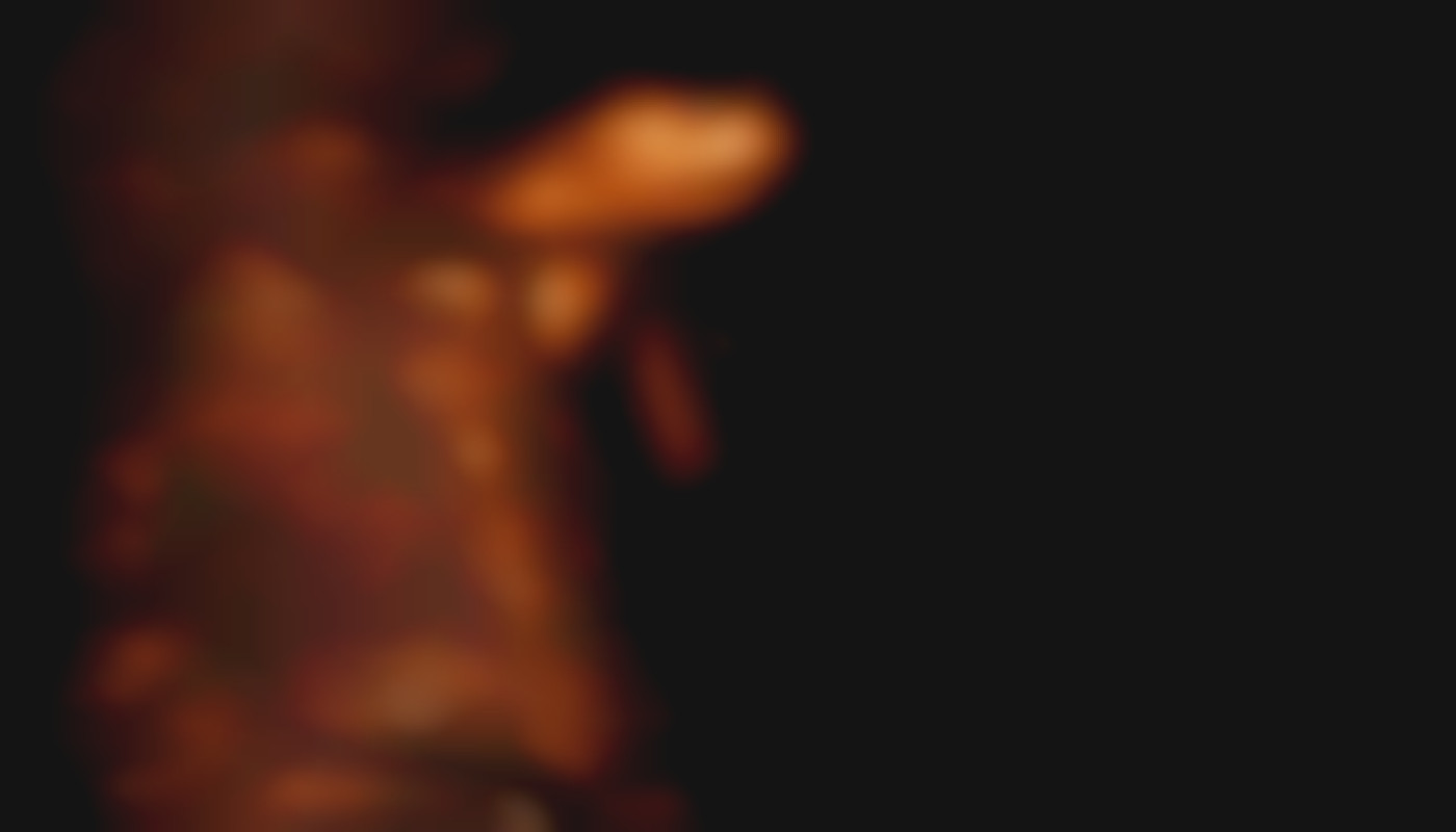 L'ascension des fétichismes de niche Comment cibler un public spécifique et gagner en trafic